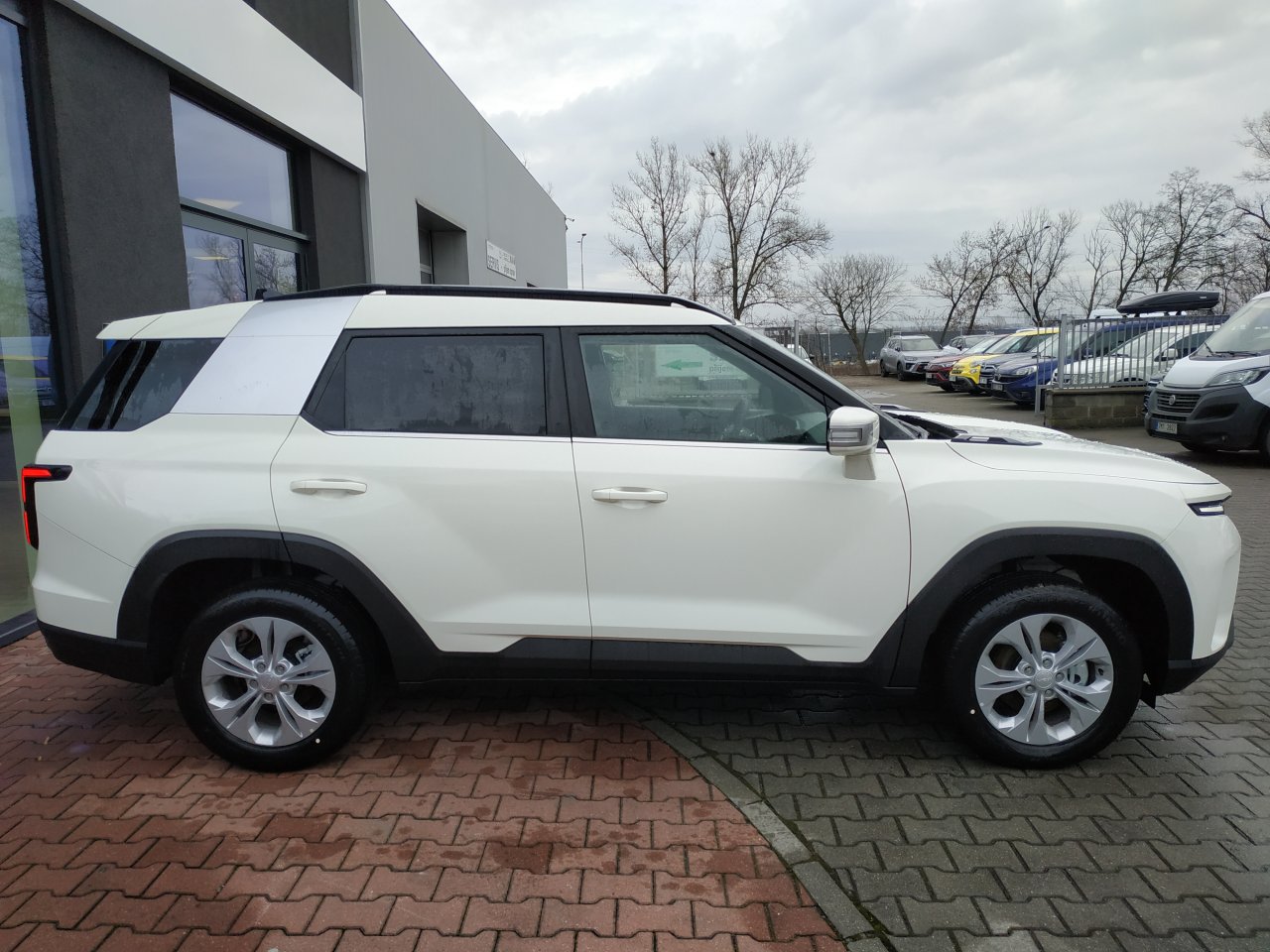 Torres CLUB 2WD MT (WAA)